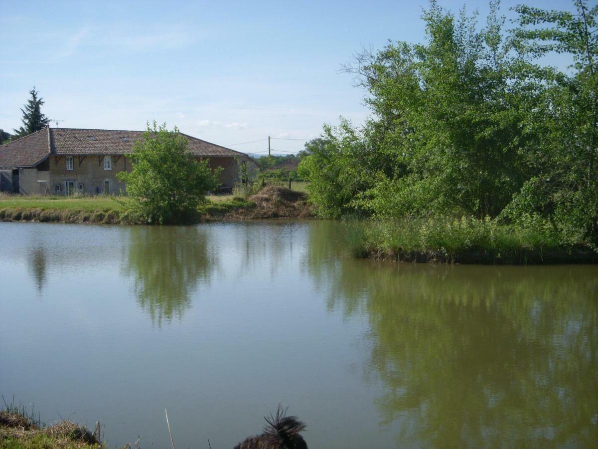 Gites Domaine De La Rochere Domsure Dış mekan fotoğraf